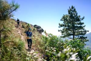 BIB: 
                            <button type="button" onclick="openModal(26608198)" class="btn btn-primary btn-sm float-right btn-popup" data-toggle="modal" data-target=".modal-high-quality">
                        <i class="fas fa-shopping-cart"></i> Add to Cart
                    </button>
                                            <button type="button" onclick="isThisMe(26608198, true)" class="btn btn-success btn-sm float-right btn-popup btn-isme hidden" data-toggle="tooltip" data-placement="bottom" title="นี่คือรูปของคุณใช่ไหม คลิกที่นี่เพื่อเอาเข้าอัลบั้ม">
                        <i class="fas fa-plus"></i> Add to album
                    </button>
                    <button type="button" onclick="isThisMe(26608198, false)" class="btn btn-warning btn-sm float-right btn-popup btn-isnotme hidden">
                        <i class="fas fa-ban"></i> Remove from album
                    </button>